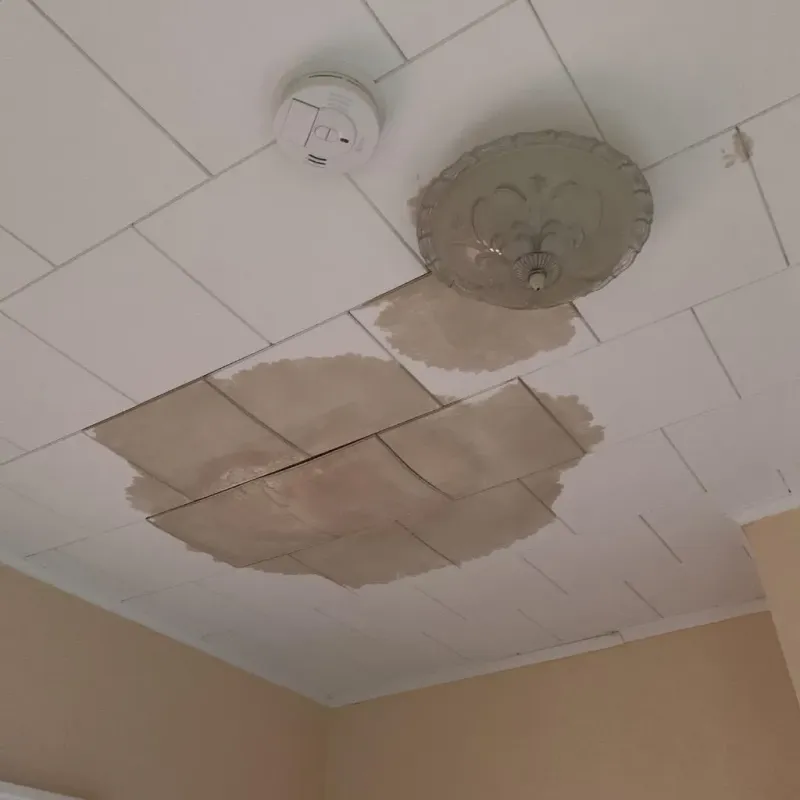 Ceiling Water Damage Repair in Chapel Hill, NC