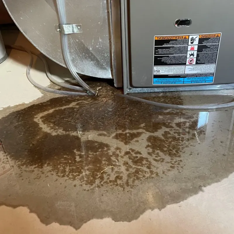 Pipe Burst and Leak Restoration in Chapel Hill, NC