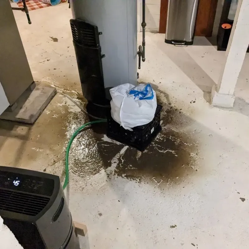 Sewage Backup Cleanup Service in Chapel Hill, NC
